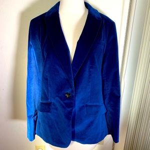Blue Velvet Jacket from Talbot